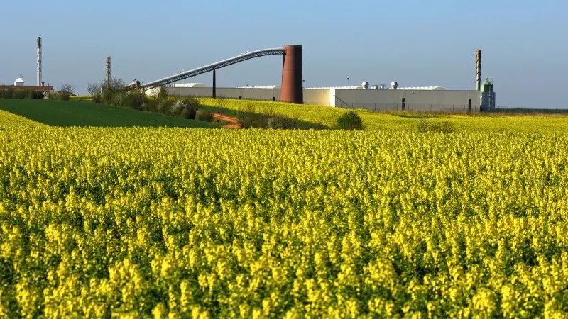 ECB’s push for net-zero carbon will grow ESG credit