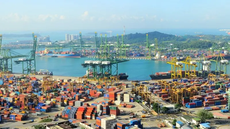 Singapore domestic exports still falling 