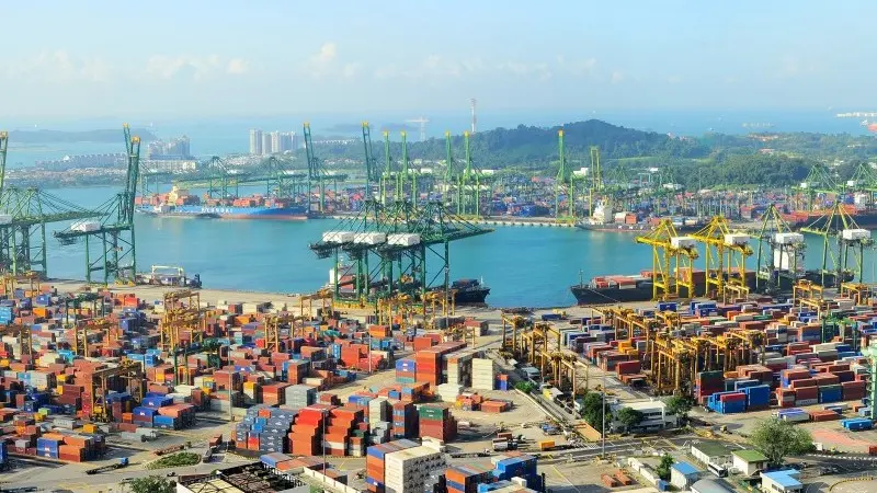 Singapore's non-oil domestic exports shrink 