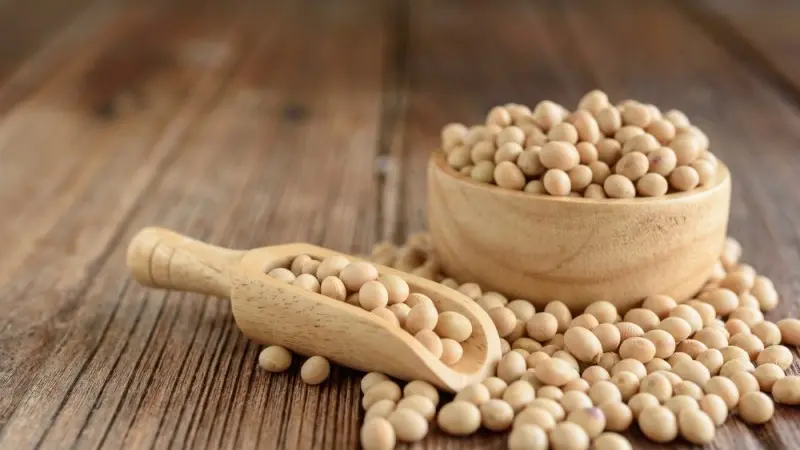 US soybeans a big loser amid rising trade tension