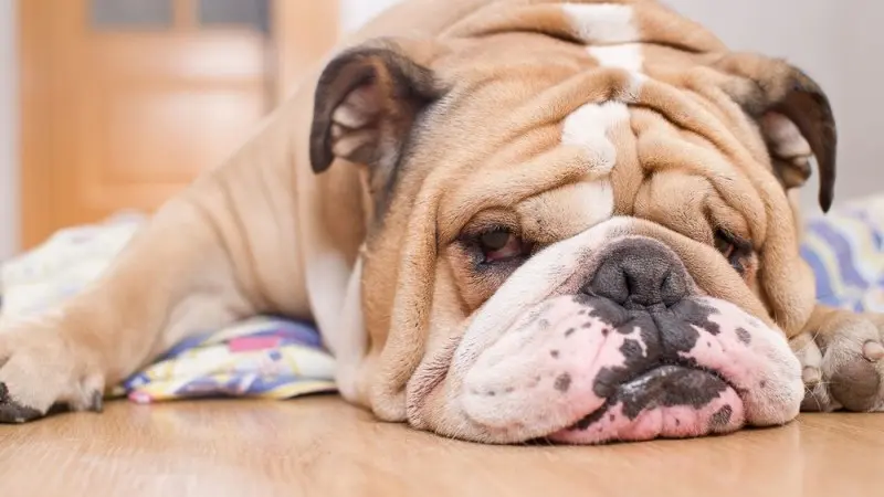 It's ugly, but its not disorderly