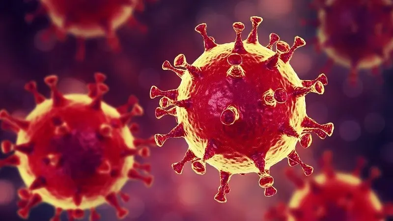 Flu season goes viral